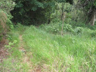 Lot 85 Knapdale, St. Ann, Jamaica - Residential lot for Sale
